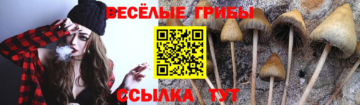 купить закладку  Галлюциногенные грибы Cubensis  Вход с VPN  Лениногорск  Псилоцибиновые грибы Psilocybe 