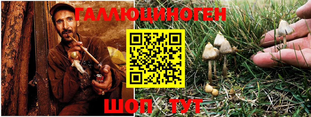 Псилоцибиновые грибы MAGIC MUSHROOMS Лениногорск